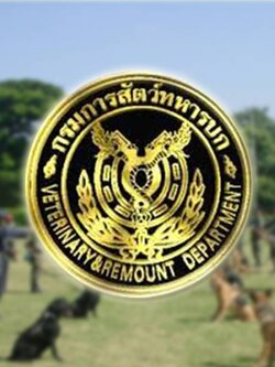 กรมการสัตว์ทหารบก เปิดรับสมัครสอบเป็นพนักงานราชการ 9 อัตรา รับสมัครทางอินเทอร์เน็ต ตั้งแต่วันที่ 1 - 8 มิถุนายน 2565