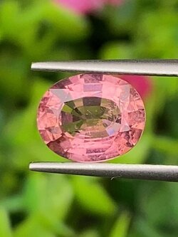 พลอย ชมพู พิ้งค์ ทัวร์มารีน (Pink Tourmaline) 2.38 กะรัต (Cts.) อัญมณีมงคลประจําวันเกิด เครื่องประดับพลอย