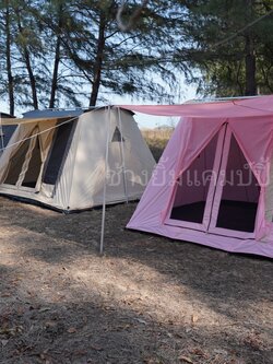 เต็นท์ Springbar