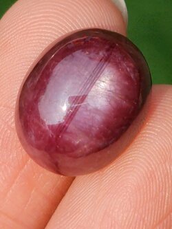 พลอย ทับทิม สตาร์ แซฟไฟร์ Ruby Star Sapphire 15.30 กะรัต (Cts.) ดิบ Unheated พร้อมใบเซอร์ พลอยแท้ อัญมณีมงคลประจําวันเกิด เครื่องประดับพลอย