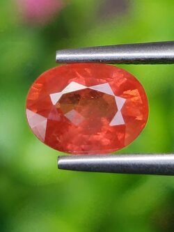 พลอย บุษราคัม Yellow Sapphire 1.63 กะรัต (Cts.) พลอยแท้ อัญมณีมงคลประจําวันเกิด เครื่องประดับพลอย