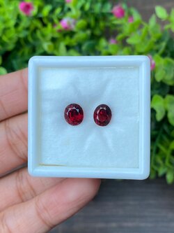 พลอย โรโดไลต์ การ์เน็ท Rhodolite Garnet 3.40 Cts. 2 เม็ด (Pcs.) พลอยแท้ อัญมณีมงคลประจําวันเกิด เครื่องประดับพลอย