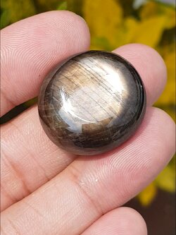 พลอย แบล็ค สตาร์ แซฟไฟร์ Black Star Sapphire 114.20 กะรัต (Cts.) พลอยแท้ อัญมณีมงคลประจําวันเกิด เครื่องประดับพลอย