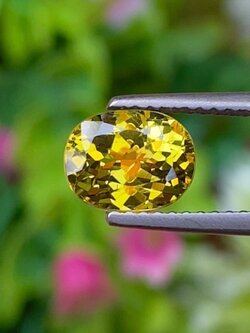 พลอย คริโซเบริล (Chrysoberyl) 1.90 กะรัต (Cts.) พลอยแท้ อัญมณีมงคลประจําวันเกิด เครื่องประดับพลอย