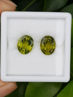 พลอย เพอริดอต Peridot 6.73 กะรัต (Cts.) พลอยแท้ อัญมณีมงคลประจําวันเกิด เครื่องประดับพลอย