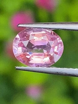 พลอย พัดพารัดชา Padparadscha Sapphire 1.14 กะรัต (Cts.) พร้อมใบเซอร์ พลอยแท้ อัญมณีมงคลประจําวันเกิด เครื่องประดับพลอย