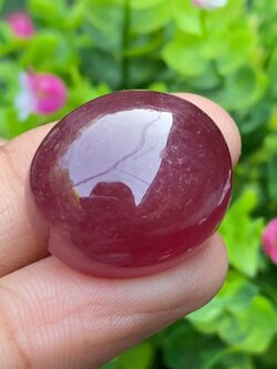 พลอย ทับทิม (Ruby Sapphire) 64.29 กะรัต (Cts.) พลอยแท้ อัญมณีมงคลประจําวันเกิด เครื่องประดับพลอย