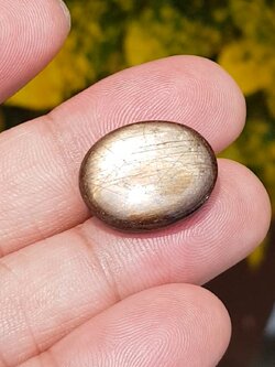 พลอย แบล็ค สตาร์ แซฟไฟร์ Black Star Sapphire 22.78 กะรัต (Cts.) ดิบ Unheated พลอยแท้ อัญมณีมงคลประจําวันเกิด เครื่องประดับพลอย