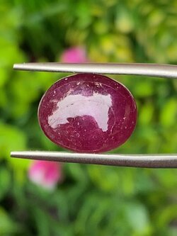 พลอย ทับทิม (Ruby Sapphire) 10.34 กะรัต (Cts.) พลอยแท้ อัญมณีมงคลประจําวันเกิด เครื่องประดับพลอย