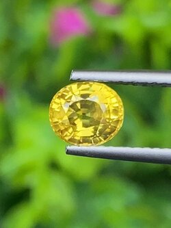 พลอย บุษราคัม Yellow Sapphire 1.43 กะรัต (Cts.) พลอยแท้ อัญมณีมงคลประจําวันเกิด เครื่องประดับพลอย