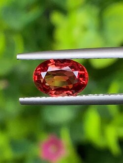 พลอย ทับทิม ซองเจีย (Songea Ruby Sapphire) 1.42 กะรัต (Cts.) พร้อมใบเซอร์ พลอยแท้ อัญมณีมงคลประจําวันเกิด เครื่องประดับพลอย