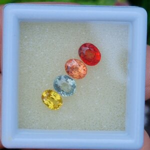 พลอยแฟนซี (Fancy Sapphire)