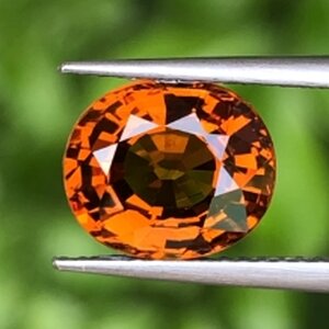 มาลี การ์เน็ต (Mali Garnet)