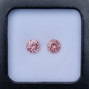 มาลายา การ์เน็ต (Malaya Garnet)