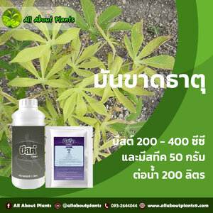 มันขาดธาตุ มันใบเหลือง