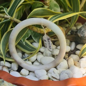 ขนาด 61 มม.