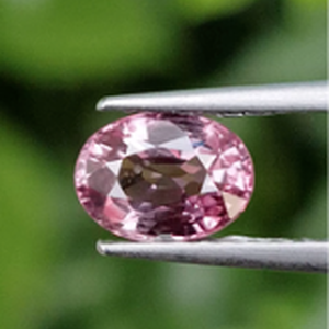 พิ้งค์แซฟไฟร์ (Pink Sapphire)