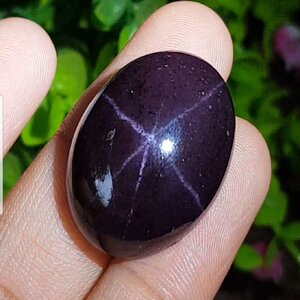 สตาร์ การ์เน็ต (Star Garnet)