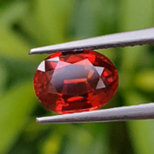 ทับทิม (Ruby Sapphire)