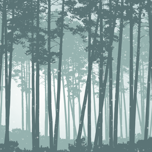 Wallpaper Digital Printing TR24102