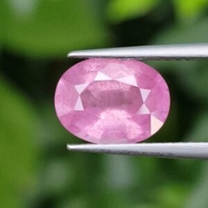 เผาใหม่ (LG)