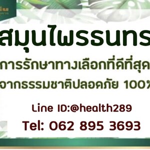รักษานิ่ว ง่ายๆ ไม่ต้องผ่าตัด ด้วย "สมุนไพรธนทร"