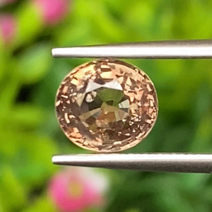 บราว แซฟไฟร์ (ฺBrown Sapphire)