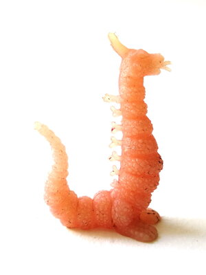 ตุ๊กตุ่นแอ๊นท์ถุงถั่ว สัตว์ประหลาด ขนาด 2.5 นิ้ว สีชมพู เหมือนมังกรแลบลิ้น งานเก่าหายาก สภาพดี