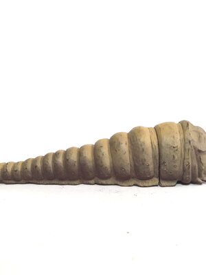 มีหลายภาพ,ซอฟขนาด 7 นิ้ว หนอนตัวอ่อน มอธร่า ตัวสีอ่อน bandai 1996 ขนาดตามรูป มือสองสภาพดี หายาก ไม่พบบ่อย