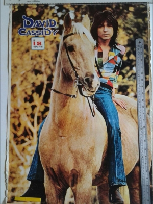 โปสเตอร์เก่า Poster, David Cassidy จากภาพยนต์เรื่อง The Patridge Family, แม่เรือพ่วง