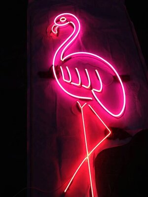 ป้ายไฟนีออน