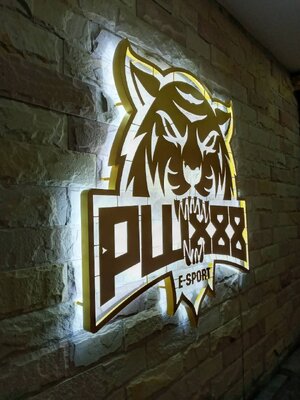 ป้ายไฟออกหลัง