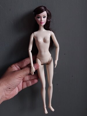 มีหลายภาพ ผมปักไม่เต็มหัว #ตุ๊กตาบาร์บี้ข้อต่อแบรนด์จากจีน ข้อต่อที่ข้อศอก ข้อมือ เอว หัวเข่า ข้อเท้า และมีนิ้วเท้า วัสดุดี **ผมปักไม่เต็มหัว