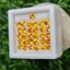 พลอย บุษราคัม yellow sapphire 5.15 กะรัต (Cts.) 31 เม็ด (Pcs.) พลอยแท้ อัญมณีมงคลประจําวันเกิด เครื่องประดับพลอย