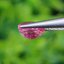 พลอย ชมพู พิ้ง แซฟไฟร์ Pink Sapphire 1.27 กะรัต (Cts.) พลอยแท้ อัญมณีมงคลประจําวันเกิด เครื่องประดับพลอย