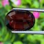 พลอย โกเมน Pyrope - Almandite Garnet 9.33 กะรัต (Cts.) พร้อมใบเซอร์ พลอยแท้ อัญมณีมงคลประจําวันเกิด เครื่องประดับพลอย