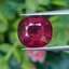 พลอย โรโดไลต์ กาเน็ท Rhodolite Garnet 7.52 กะรัต Cts.พลอยแท้ อัญมณีมงคลประจําวันเกิด เครื่องประดับพลอย