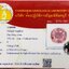 พลอยชมพูส้มแซฟไฟร์ Orangy Pink Sapphire 1.56 กะรัต (Cts.) พร้อมใบเซอร์ พลอยแท้ อัญมณีมงคลประจําวันเกิด เครื่องประดับพลอย