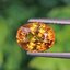 พลอย บุษราคัม yellow sapphire 2.66 กะรัต (Cts.) พลอยแท้ อัญมณีมงคลประจําวันเกิด เครื่องประดับพลอย