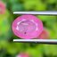 พลอย ชมพู พิ้ง แซฟไฟร์ Pink Sapphire 2.59 กะรัต พลอยแท้ อัญมณีมงคลประจําวันเกิด เครื่องประดับพลอย