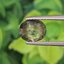 พลอย เขียวส่อง Green Sapphire 1.78 กะรัต (Cts.) ดิบ Unheated พลอยแท้ อัญมณีมงคลประจําวันเกิด เครื่องประดับพลอย