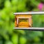 พลอย บุษราคัม yellow sapphire 1.30 กะรัต (Cts.) พลอยแท้ อัญมณีมงคลประจําวันเกิด เครื่องประดับพลอย