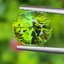 พลอย ทัวร์มาลีน Tourmaline 2.97 กะรัต (Cts.) พลอยแท้อัญมณีมงคล ประจําวันเกิด เครื่องประดับพลอย