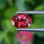 พลอย ทับทิม ซองเจีย Songea Ruby Sapphire 1.05 กะรัต (Cts.) พลอยแท้ อัญมณีมงคลประจําวันเกิด เครื่องประดับพลอย