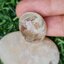 โป่งข่าม ควอตซ์ Rutilated Quartz 31.22 กะรัต Cts. พลอยแท้ อัญมณีมงคลประจําวันเกิด เครื่องประดับพลอย