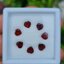 พลอย โกเมน Garnet 7 เม็ด (pcs.) 3.54 กะรัต (Cts.) พลอยแท้ อัญมณีมงคลประจําวันเกิด เครื่องประดับพลอย