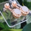 หยก พม่า แท้ Jade ต่างหูหยก (jadeite) ดิบ ไม่ผ่านการปรับปรุง (Type A) พม่า (Myanmar)