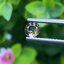 พลอย อเล็กซานไดร์ (Natural Alexandrite Chrysoberyl) เจ้าสามสี 0.44 กะรัต (Cts.) พร้อมใบเซอร์ พลอยแท้ อัญมณีมงคลประจําวันเกิด เครื่องประดับพลอย