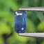 พลอย ไพลิน Blue Sapphire 1.04 กะรัต (Cts.) พลอยแท้ อัญมณีมงคลประจําวันเกิด เครื่องประดับพลอย