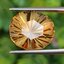 พลอย ซิทริน Citrine 12.11 กะรัต (Cts.) พลอยแท้ อัญมณีมงคลประจําวันเกิด เครื่องประดับพลอย